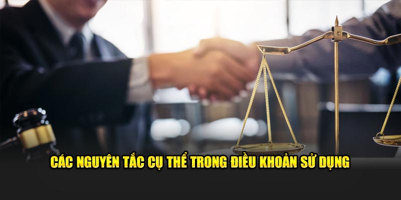 Các điều lệ cụ thể trong điều khoản sử dụng