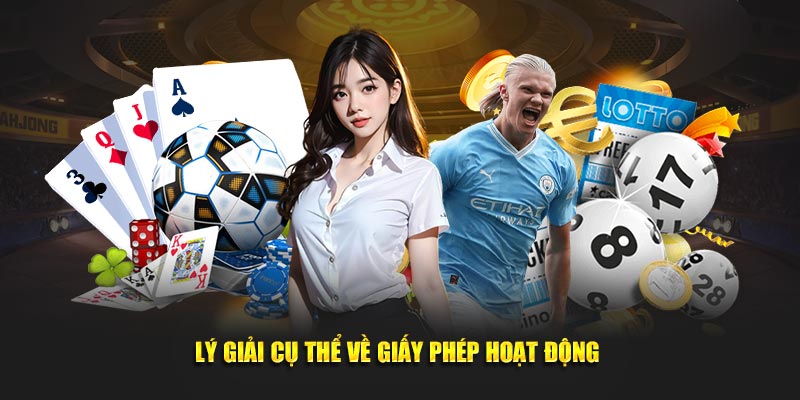 Lý giải cụ thể về giấy phép hoạt động 